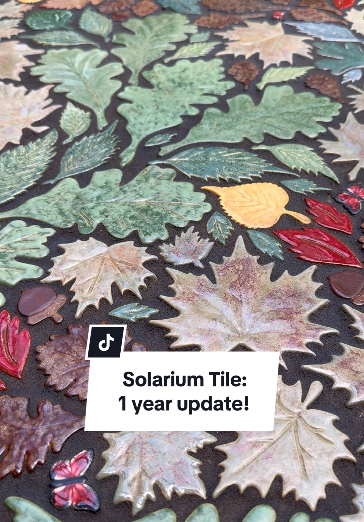 Replying to @Violent_Whisper How we clean the Solarium tile. 🍁 #tile #tilework #ceramictiles #solarium 