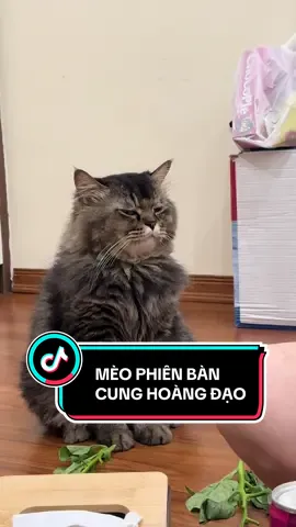 Còn thiếu cung nào nhỉ? #fyp #funny #zodiac #Beer #Biệtđộibéothủ 