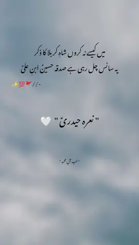 Beshak 💯🚩✨ #haider #growmyaccount #viral #alimola #fyp 