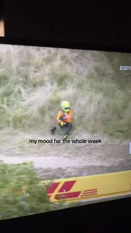 my mood for the whole week #F1 #landonorris #charlesleclerc #dutchgrandprix @Formula 1 