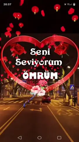 🌹❤🌹