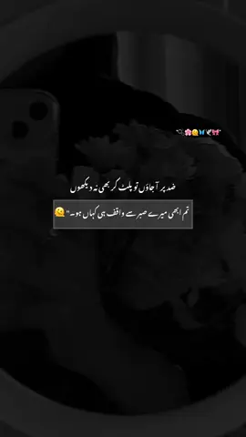 #whos_mishi2 