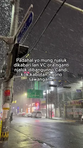 Yowes ngono iku #fyp #jowocidro #masukberanda #fypシ゚ 