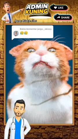 Membalas @jargo__skizzyGumpalan Rambut Keras Dalam Mulut Kucing #trending #pageforyou_🔥 #viral #fyp #hairballkucing 