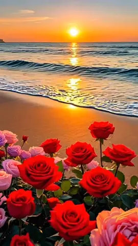 #💕💕💕💕💖🌹♥️ 
