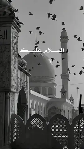 صلُّوا على من قام يرفع كفَّهُ يدعي برفقٍ: ربِّ سلِّم أمّتي..