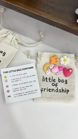 for friends gift 🎁 #cutegift#mascots#pockegift#littlebagoffriendship#friendship#giftidea#spotlight#kidsgifts#funny#tiktokmademebuyit#dealdrops#spotlight#summersale#lovemyhome#dealsforyoudays