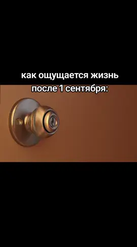 #бзом #bfdi 