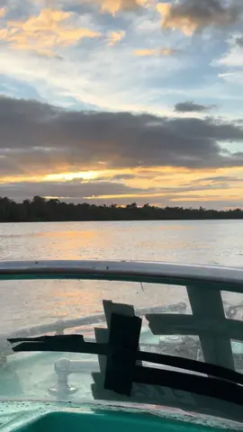 Jalan-jalan sore di kali digul dengan menikmati matahari sore 😊 #driverspeed #speedkonten #speedpapuaselatan #kalidigulpapuaselatan♣️ #sunset #mataharisore #masukberanda #bovendigoelpapua #fyp #fypage @Kang Radhe23 