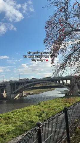 ❤️ #fyp #kyoto 
