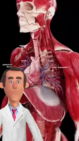 @Sr.Saude Os Alimentos que mais infartam no Mundo #infarto #viral #fyou 