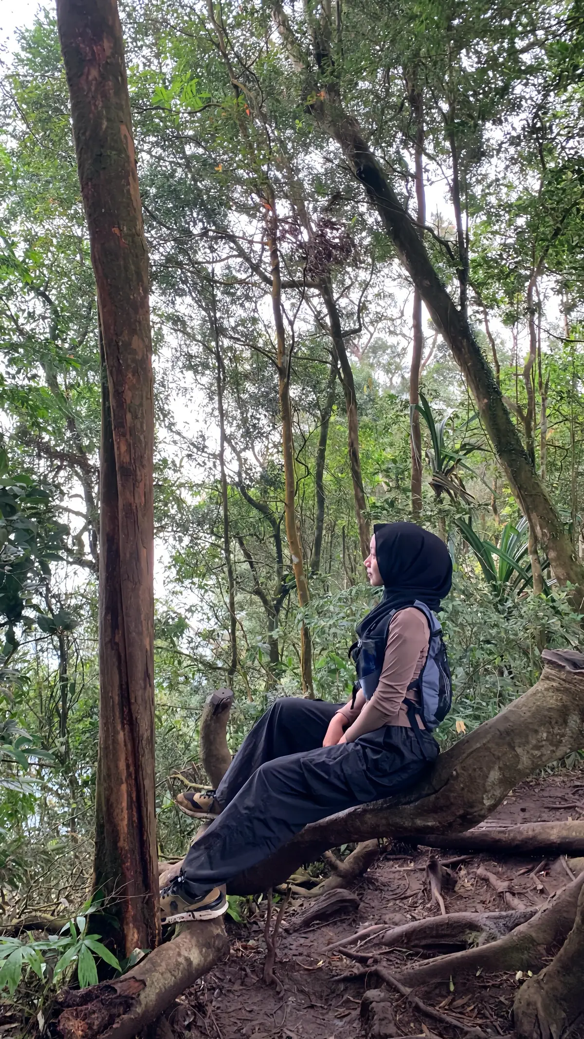 #pendakigunung #gunungaseupan #pendakifomo 