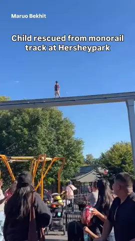 Crowds could be seen gathered below the tracks trying to guide the boy to safety as he was in danger of falling off the rail. More details at link in bio.