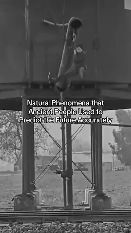 Natural Phenomena that Ancient People Used to Predict the Future Accurately 😳 #history #historytok #historyfacts #viral #weirdfacts 