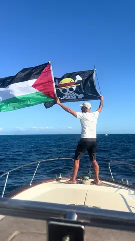 Forza @Global Sumud Flotilla #gaza #globalsumudfotilla #drumsofliberation #onepiece ##freepalestine🇵🇸❤️ 
