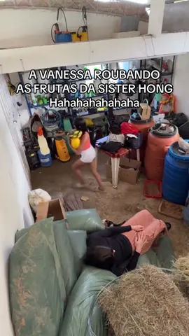 Era tudo o que eu tinha #ranchodomaia #sisterhong #fy #halessia 