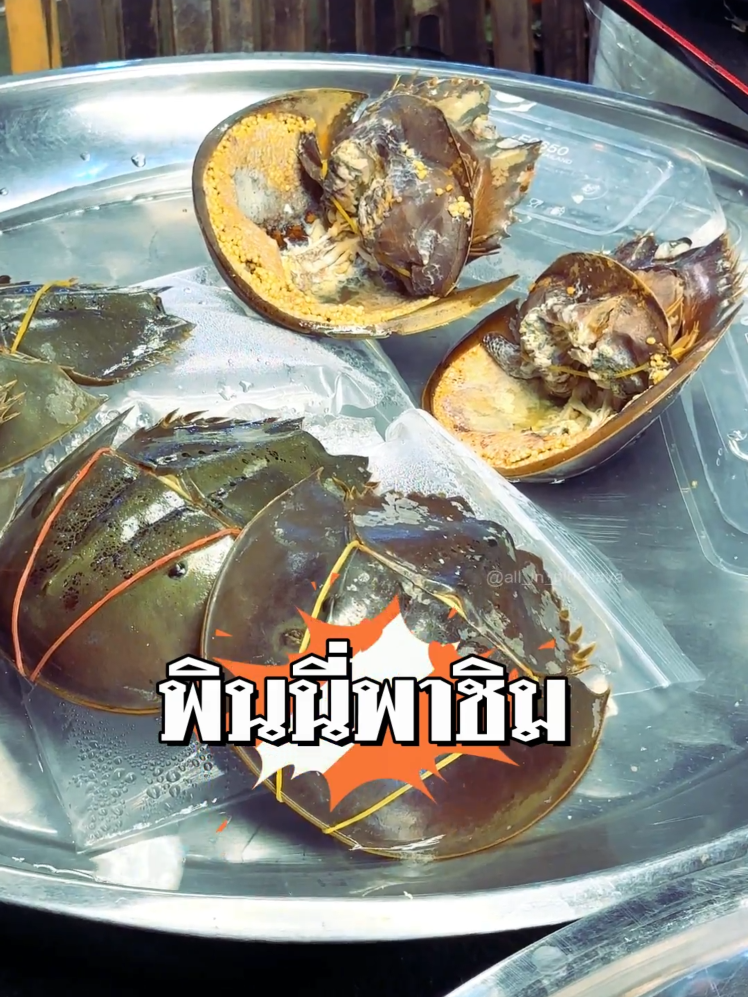 พาชิม #ยําไข่แมงดา #มาดามทะเลดอง #ถนนคนเดินของดีบางบัวทอง วันนี้-7กย.68 #วัดเล่งเน่ยยี่2 #บางบัวทองนนทบุรี #พินนี่พาชิม #all_in_pinchaya ความอร่อยในเมนูสุดว้าว แต่ราคาไม่แรง