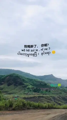 我不开心 #studywithme  #learnchinese  #chinesemyanmarlanguage  #flypシ  🥂