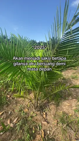 Lelah tapi demi masa depan #petanimuda #petanisawit #sawitontiktok #petaniindonesia🇮🇩🇮🇩🇮🇩🌿🌿 #perintismuda 