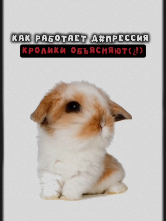 как работает д@пресия? кролики объясняют(¿!) мини брт я вас люблю и я вами дорожку по этому прошу вас реально если что поговорите со взрослыми и сходите к психологу(((( #кролики #дeпpессия #обьясняют #крольчата #поучительно 