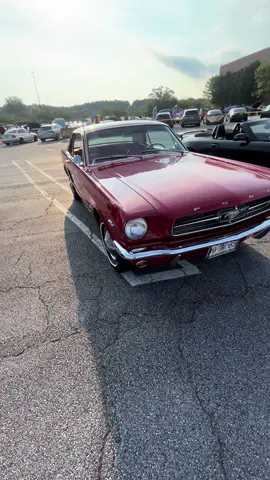 1965 mustang at caffeine and octane! #mustang #classiccar #fyp #shorts #carsoftiktok 