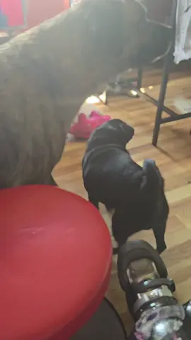 Treat time 🐕 ❤️ 