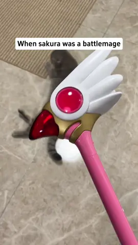 When Sakura was a battlemage #design #undefinedesign #cardcaptorsakura #wand #fyp 