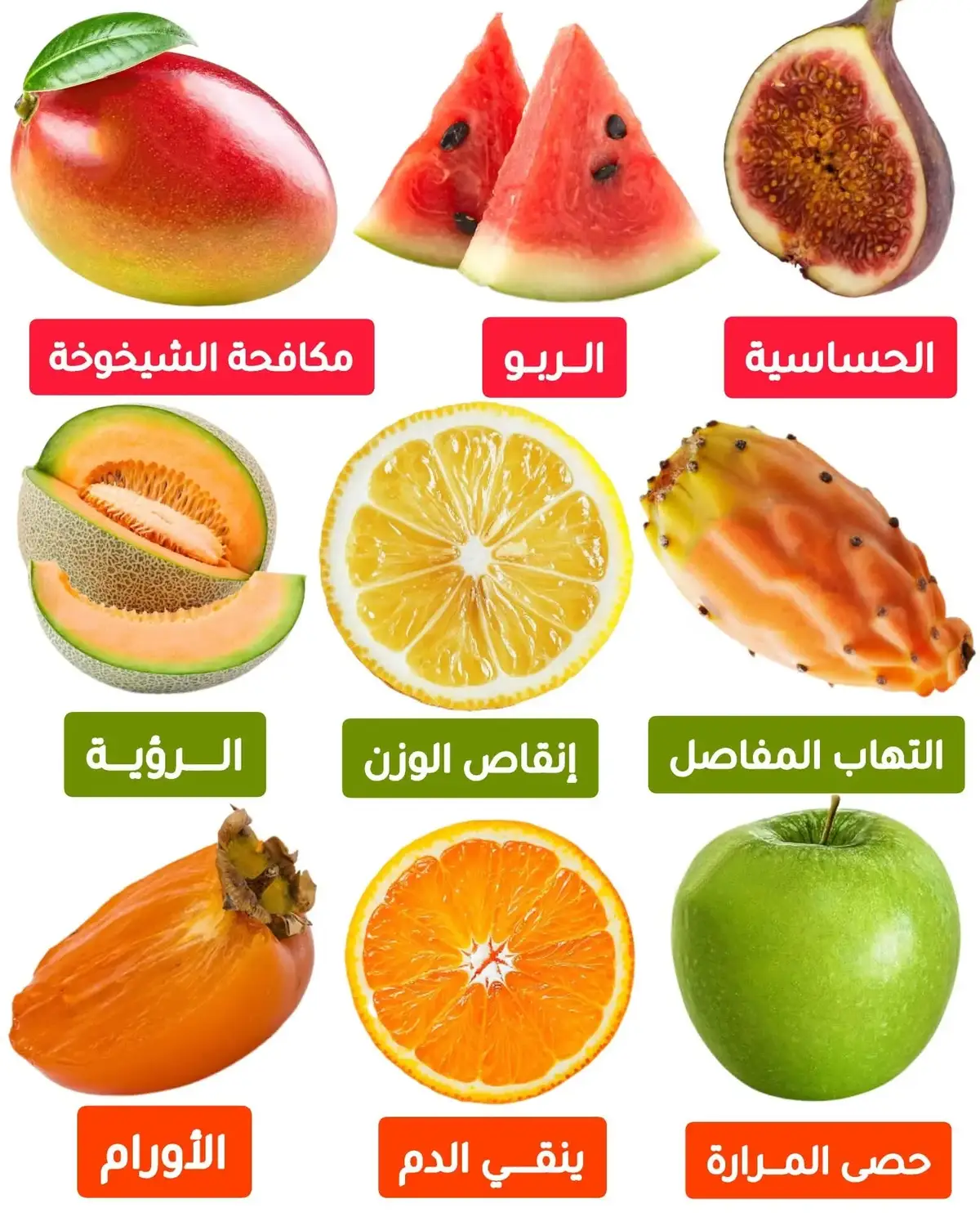 فوائد الفواكه تشمل تزويد الجسم بالفيتامينات والمعادن ومضادات الأكسدة الضرورية للصحة، وتحسين الهضم بفضل الألياف، وتعزيز المناعة، وتقليل خطر الإصابة بأمراض القلب والسرطان والسكري، بالإضافة إلى دورها في دعم صحة البشرة ونضارتها وتحسين المزاج. كما تساعد الفواكه في الحفاظ على رطوبة الجسم، وتوفير الطاقة، والمساهمة في تنظيم الوزن، ومنع الإمساك.  الفوائد الصحية الأساسية: غنية بالعناصر الغذائية: تحتوي الفواكه على فيتامينات مهمة مثل فيتامين C وفيتامين A، ومعادن مثل البوتاسيوم والمغنيسيوم، ومضادات الأكسدة التي تحمي الجسم من الجذور الحرة.  تعزيز الصحة القلبية: يساهم البوتاسيوم وحمض الفوليك والألياف الموجودة في الفواكه في تنظيم ضغط الدم وتقليل خطر الإصابة بأمراض القلب والسكتات الدماغية.  الوقاية من الأمراض المزمنة: يساعد تناول الفواكه والخضروات بانتظام في تقليل خطر الإصابة ببعض أنواع السرطان ومرض السكري من النوع الثاني والسمنة.  فوائد على أجهزة الجسم: تحسين الهضم: الألياف الغذائية الموجودة في الفواكه تساعد في تنظيم حركة الأمعاء، مما يمنع الإمساك ويحافظ على صحة الجهاز الهضمي.  دعم المناعة: فيتامين C وفيتامينات أخرى تعمل على تقوية جهاز المناعة، مما يساعد الجسم على مقاومة الالتهابات والأمراض.  صحة البشرة: تساعد الفيتامينات والمعادن ومضادات الأكسدة في تكوين الكولاجين، مما يغذي البشرة ويقلل من علامات الشيخوخة المبكرة ويحميها من الجفاف والالتهابات.  فوائد أخرى: توفير الطاقة: تحتوي بعض الفواكه مثل الموز على كربوهيدرات صحية تمنح الجسم طاقة وحيوية، بينما تساعد الألياف في التفاح على الشعور بالشبع لفترة أطول.  تنظيم الوزن: الفواكه قليلة السعرات الحرارية ولكنها مشبعة، مما يساعد على الشعور بالامتلاء ويساهم في التحكم بالوزن.  تحسين الحالة المزاجية: يرتبط تناول الفواكه والخضروات الملونة بتحسن الصحة العقلية وزيادة الشعور بالسعادة.  ترطيب الجسم: الفواكه غنية بالماء، مما يساعد في الحفاظ على رطوبة الجسم خاصة في الأجواء الحارة.  #tik_tok #cupcut #viralvideos #views #foryoupage❤️❤️  @tiktok creators 