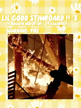 #LILGODD // this video is from owner 1 :333 #daisydaisy #fyp #viral #stimboard 