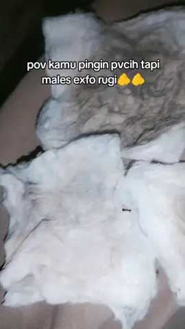 sini aku kenalin sama toner exfo handalan ku..... ini gak pernah ketinggalan setiap mlm selalu aku pakai sebelum tidur & memakai hb😚#tonermarlenaoriginal #tonerbadan #tonerpemutihbadan #fypdongggggggg 