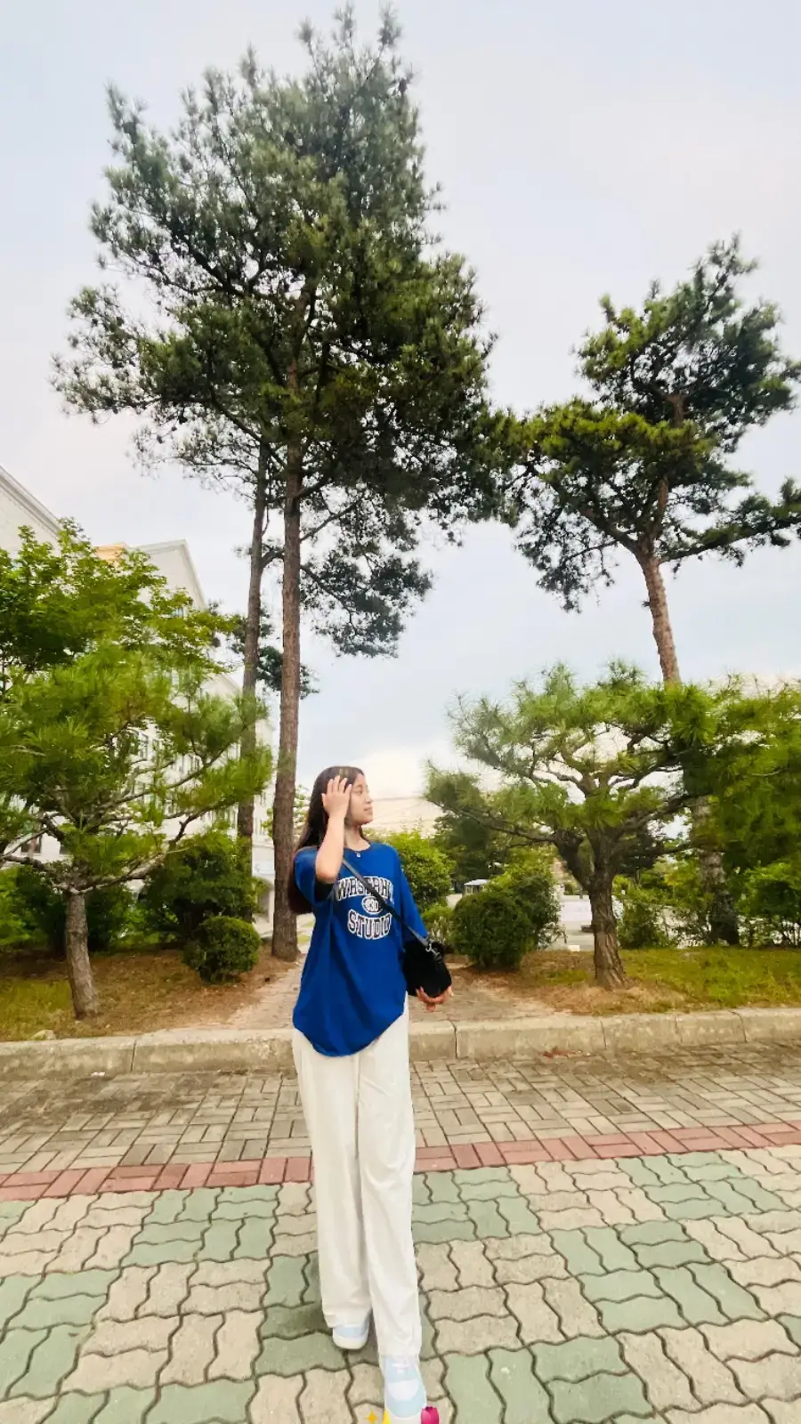 💙🤍🌷