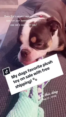 This plush octopus dog toy is still one of Emma Sue’s favorites and right now it’s on sale with free shipping! #onthisday #dogtoy #plushdogtoy #TikTokShopLaborbaySale #dogsoftiktok  