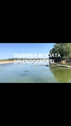 #dunareafrumoasa