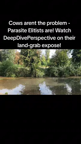 Deep Dive Perspective- Always ahead of tge news curve :  https://youtu.be/Uyikglc6k-c?si=cMlUfwiudTZ_Fjus Land theft BlackRock and Farmers - DDP's recent discussion with Tony Gosling Land Rights activist and former BBC Journalist. ... Update:  this is INSANE  https://x.com/EuropeanPowell/status/1951929512024838586?t=coLCgS_RYToFrw9bFpgPvw&s=09  https://x.com/EuropeanPowell/status/1951891266888696238?t=GWisXNzlkWr7O0vtphi3Lg&s=08 #greatreset 