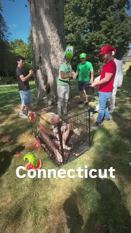 #ct #connecticut 