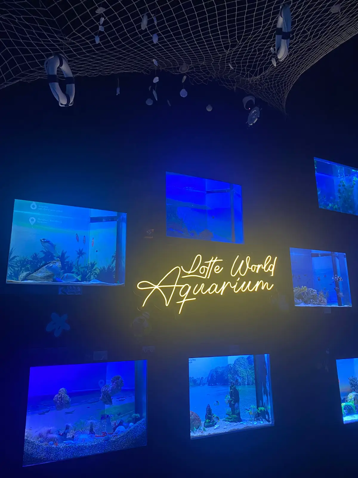 Nhỏ bé trước vẻ đẹp của🧜‍♀️🐋🐬🐠🐳 Xin đừng đi vì đi là nghiện không lối thoátttt ạa🐠🐠 #thuycunglottehanoi #timnoibinhyen 