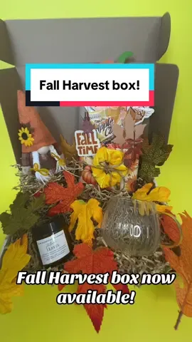So excited to launch these fall boxes. Choose from 3 different themes! #fall #fallaesthetic #bookbox #gift #blinddatewithabook 