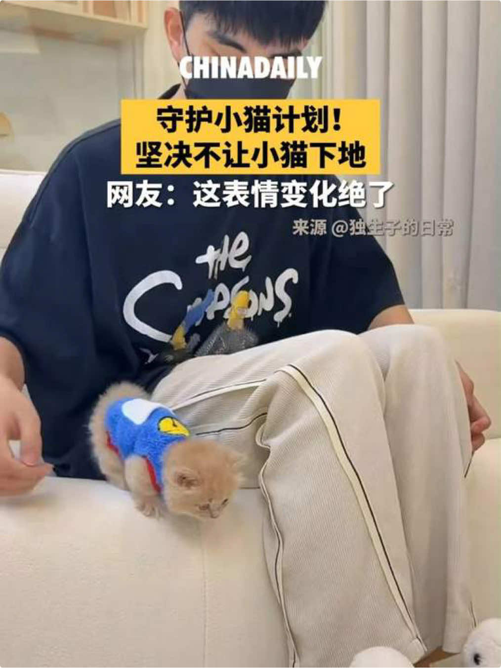 守护小猫计划！ 坚决不让小猫下地 网友：这表情变化绝了。
