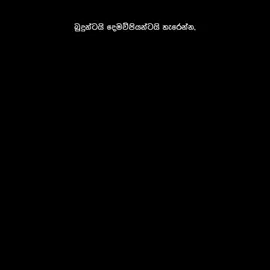 හැබැයි ගරු කරන්න ඕන කෙනාට දෙපාරක් නොහිතා ගරු කරනවා...😎❤️😘#guidesl #shen #viralvideo 