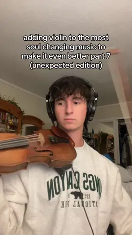 Charli please lemme play live w u #charlixcx #violin #musiciansoftiktok #strings #party4u #brat #fyp 