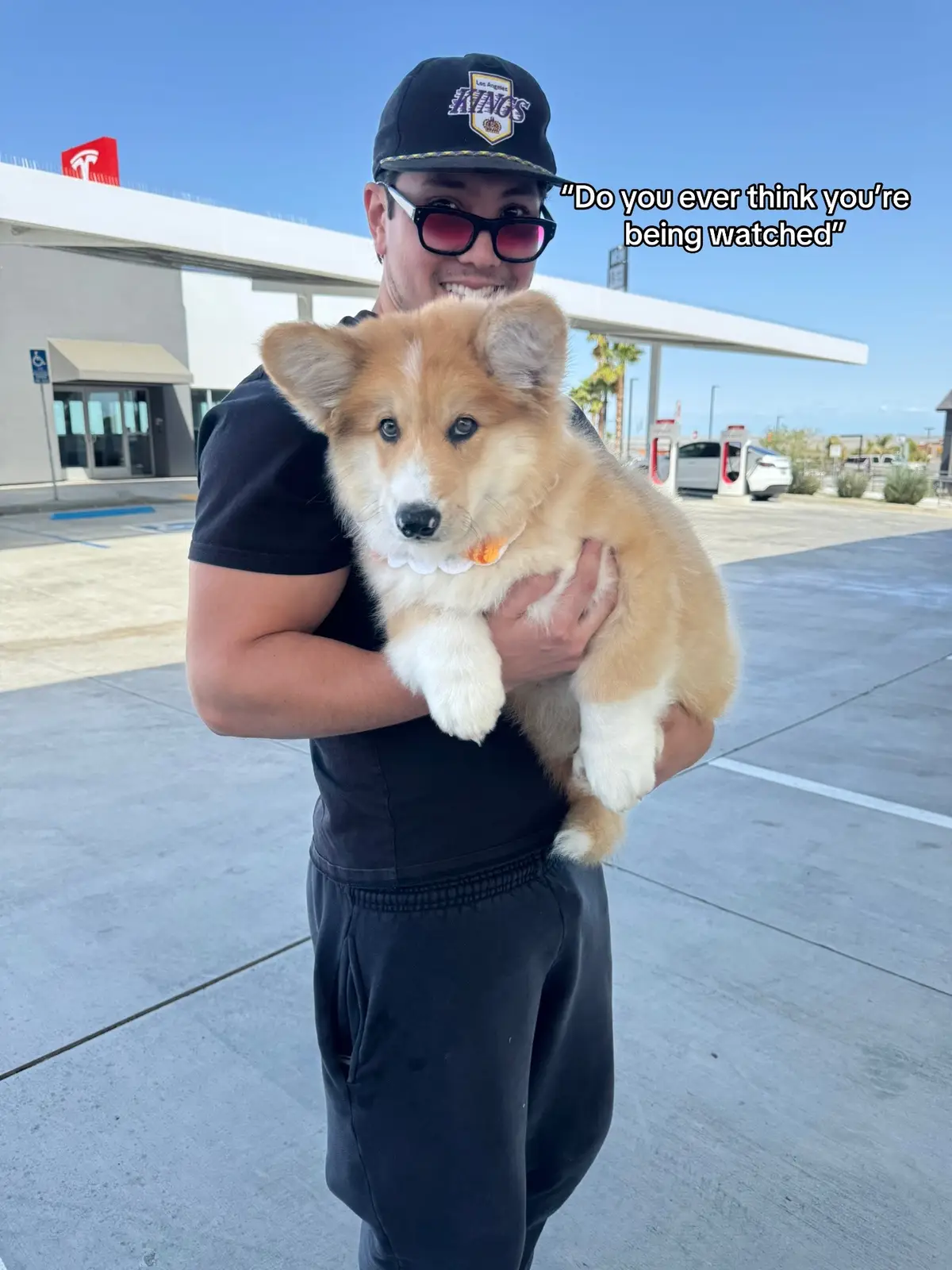 2.5 views in 30 days is crazy thanks yall  #corgi #puppy #dog #apollothecorgimute #dogsoftiktok 