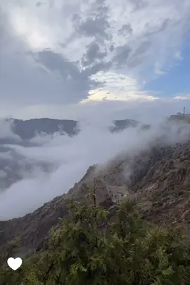 #راحه_نفسيه 