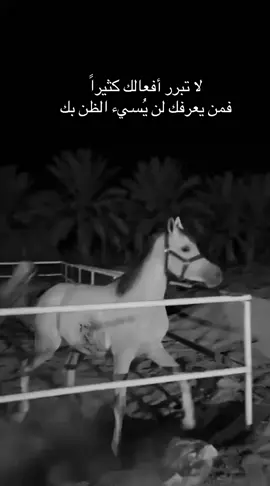 #خيل_وخياله🐎 #fyp #viral #اقتباسات #اكسبلورexplore 