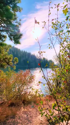 Sunday love#fyp #positivevibes #naturelovers #naturevideos #naturevideos 🫶🏼
