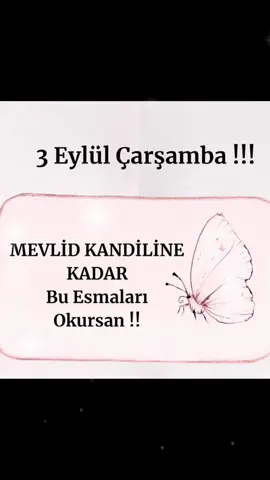 #kandil #anlamlısözler #kangdedimulyadi #dinivideolar #ayetelkürsü 🌹🤲🏻🌹🤲🏻🌹🤲🏻🌹🤲🏻🌹🤲🏻
