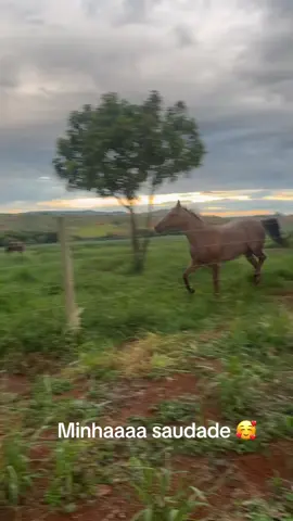JM❤️ minha saudade 🥰 