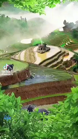 #😌😌😌😌🥰🥰🥰🥰🥰🥰🥰🥰🥰🥰🥰🥰🥰🥰🥰🥰 