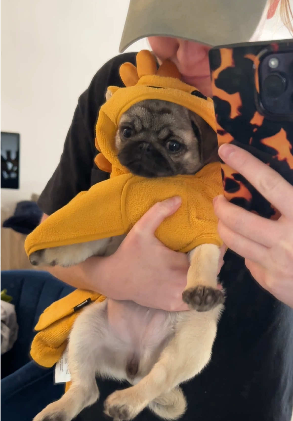 Frankie’s first spa day 🧖‍♀️