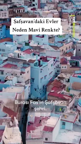 Fas’ın Şafşavan şehrindeki evlerin mavi renge boyanmasının ardındaki rivayetleri öğreniyoruz. #fas #kültür #gelenek #belgesel #trtbelgesel 