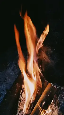 #CapCut 